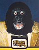 The Rock-afire Explosion