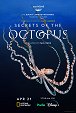 Secrets of the Octopus - Shapeshifters