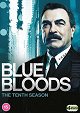 Blue Bloods - Crime Scene New York - Vested Interests