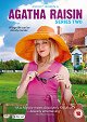 Agatha Raisin - The Wizard of Evesham