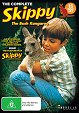 Skippy, stepná kengura