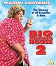 Big Momma's House 2