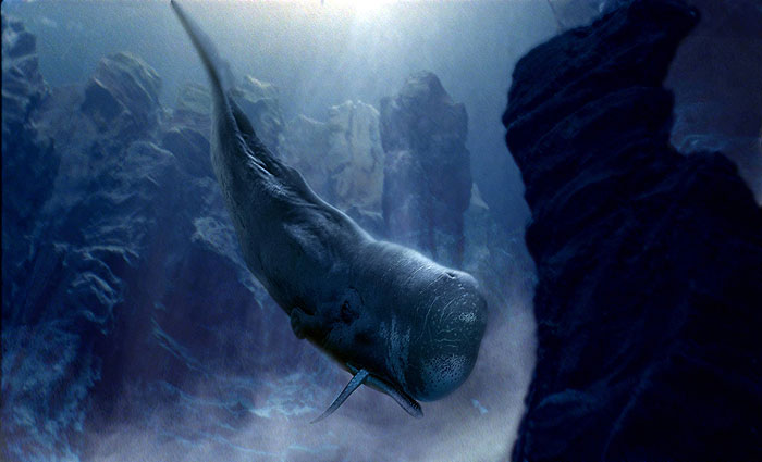 Deep Ocean (2006) | ČSFD.cz