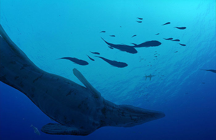 Sea Monsters: A Prehistoric Adventure (2007) | Facts - Facts | SFD.cz