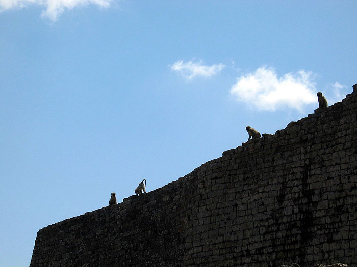 Digging For The Truth The Lost Tribe Of Israel The Lemba S01e09