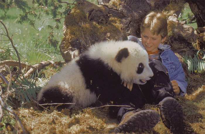 Pandy Films Dobrodružství malé pandy (1995) | ČSFD.cz