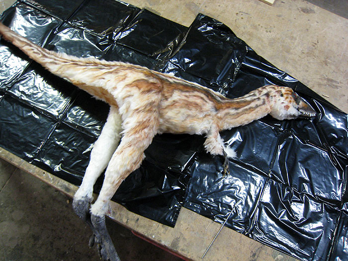 Reconstructing T-Rex (2008) | ČSFD.cz