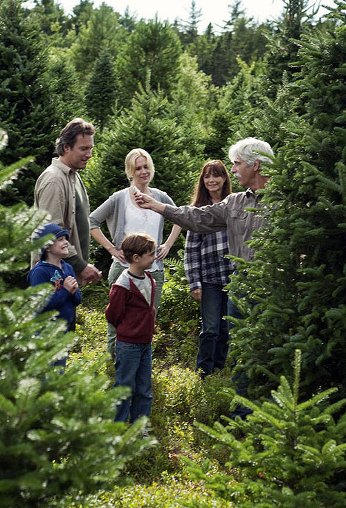 November Christmas (2010) ČSFD.cz