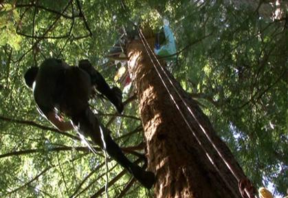 Tre Arrow Les Insurgés de la Terre (2011) | ČSFD.cz