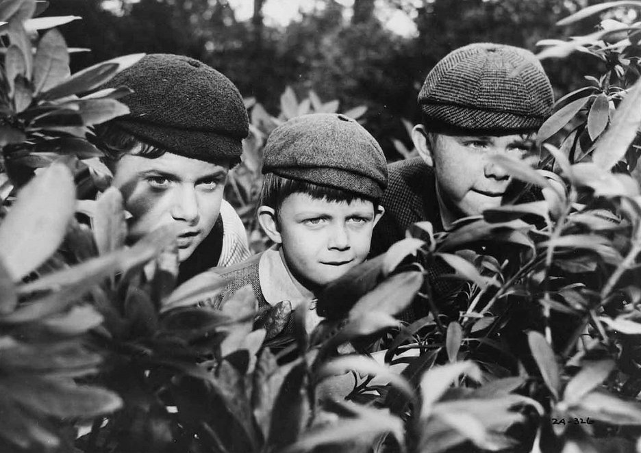 Matthew Garber The Three Lives Of Thomasina The Three Lives of Thomasina (1964) | ČSFD.cz