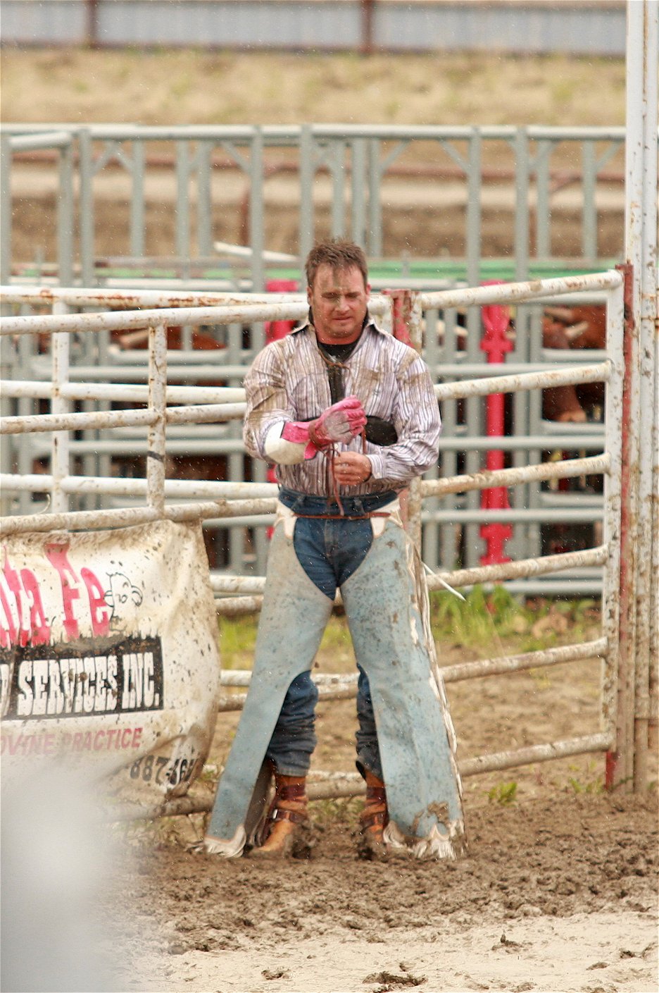 Cache Rodeo Jpg Image Rodeo: Life on the Circuit (2011) | ČSFD.cz