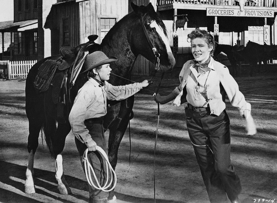 The Boy From Oklahoma (1954) ČSFD.cz