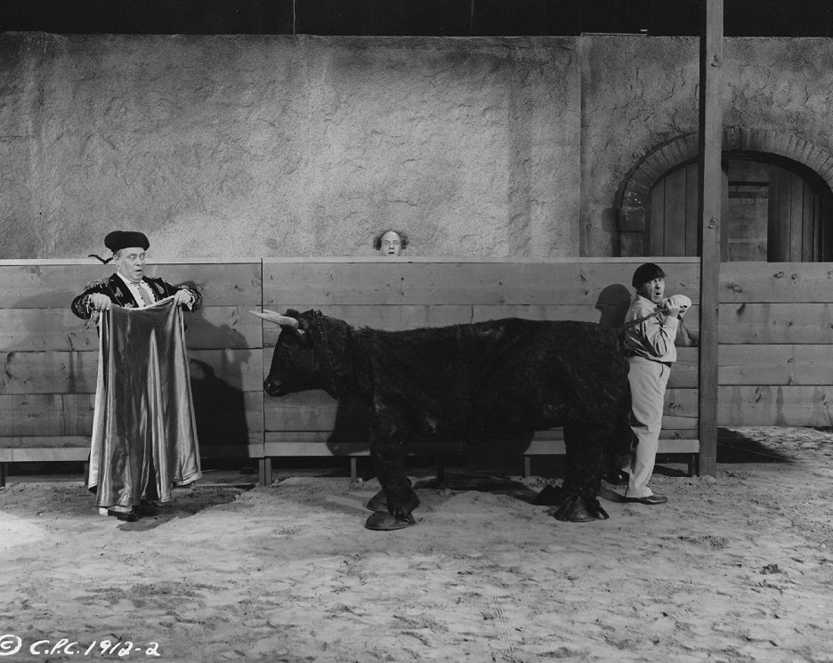 Sappy Bull Fighters 1959 Čsfdsk