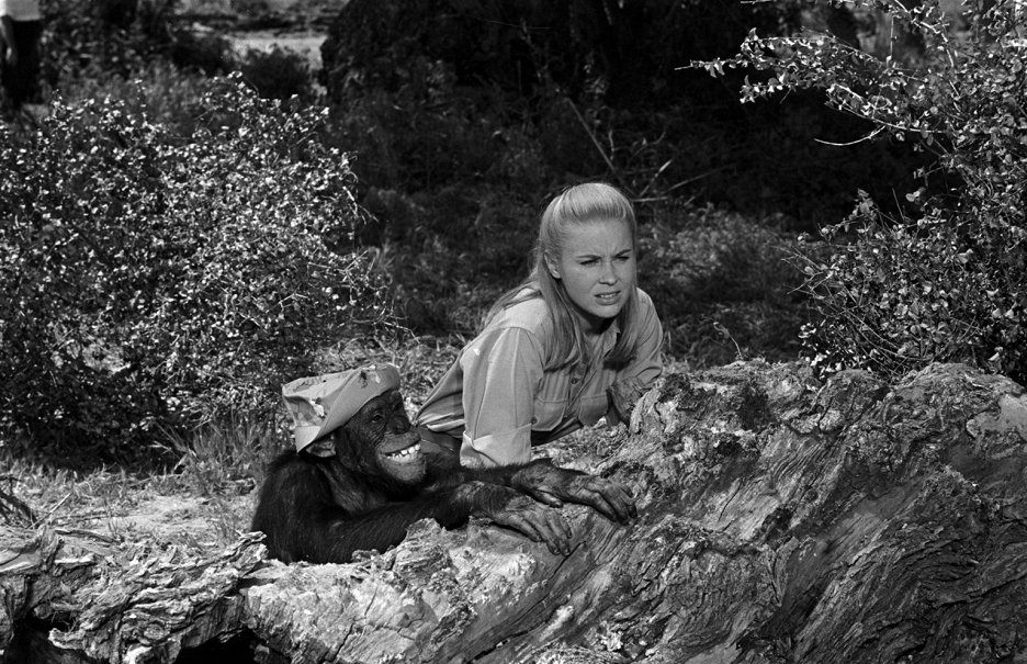 Cheryl Miller | Galerie - Z filmu | ČSFD.cz