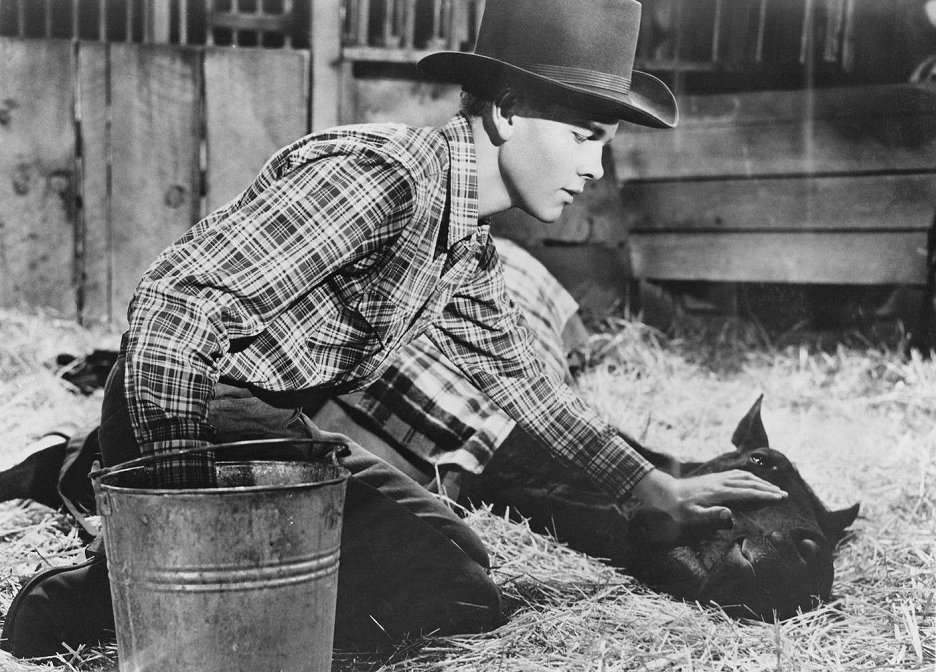 Green Grass of Wyoming (1948) ČSFD.cz