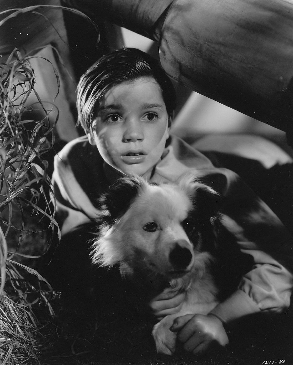 Song of Russia (1944) ČSFD.cz