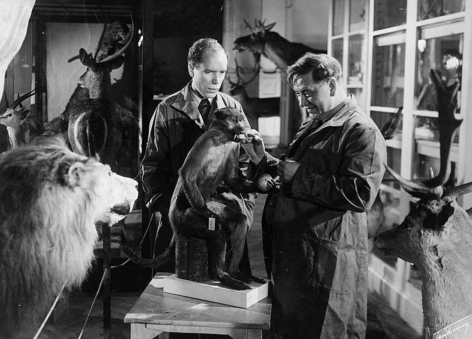 Isäpappa ja keltanokka (1950) | ČSFD.cz