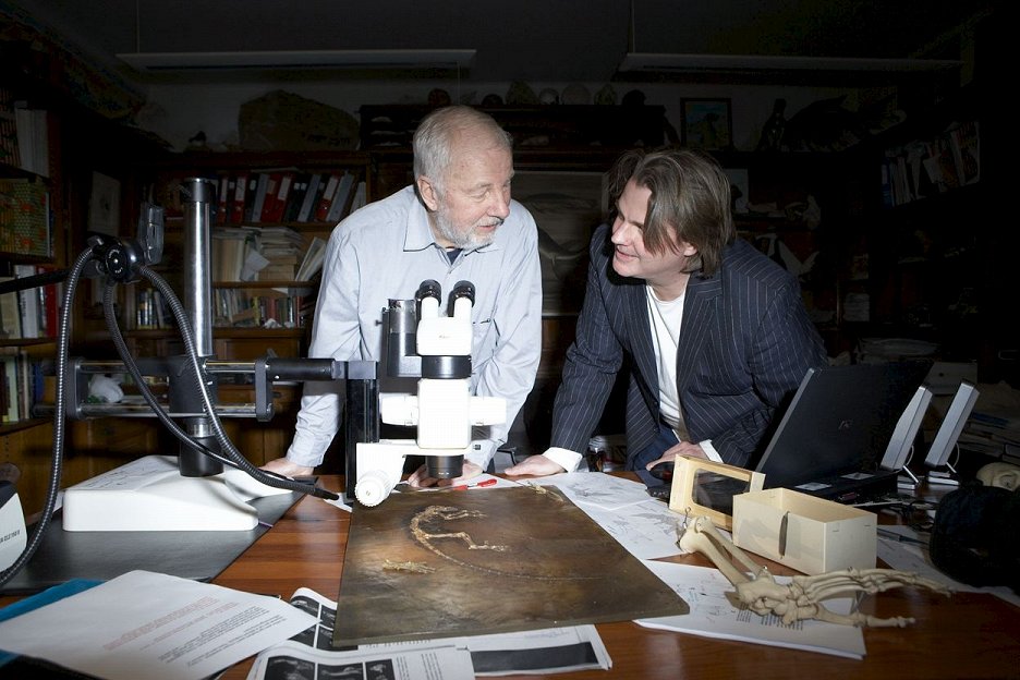 Terra X: Die geheime Entdeckung - Rätsel der Urzeit (2009) | ČSFD.cz