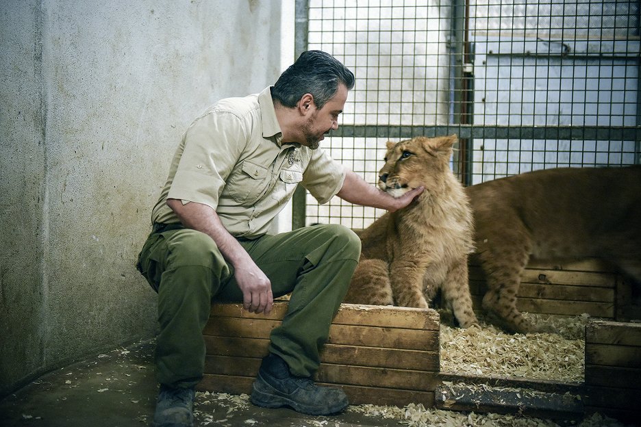 Ma vie au zoo (2015) | ČSFD.sk