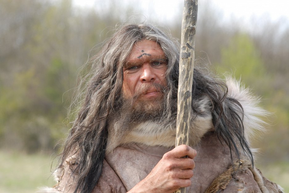 Der Neandertaler Was Wirklich Geschah