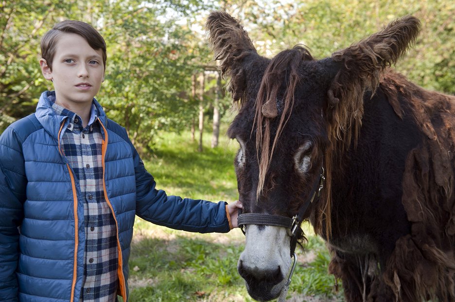 Geh Du Alter Esel Hole Fische Dům plný zvířátek - Geh' du alter Esel (S06E03) (2016) | Galerie - Z