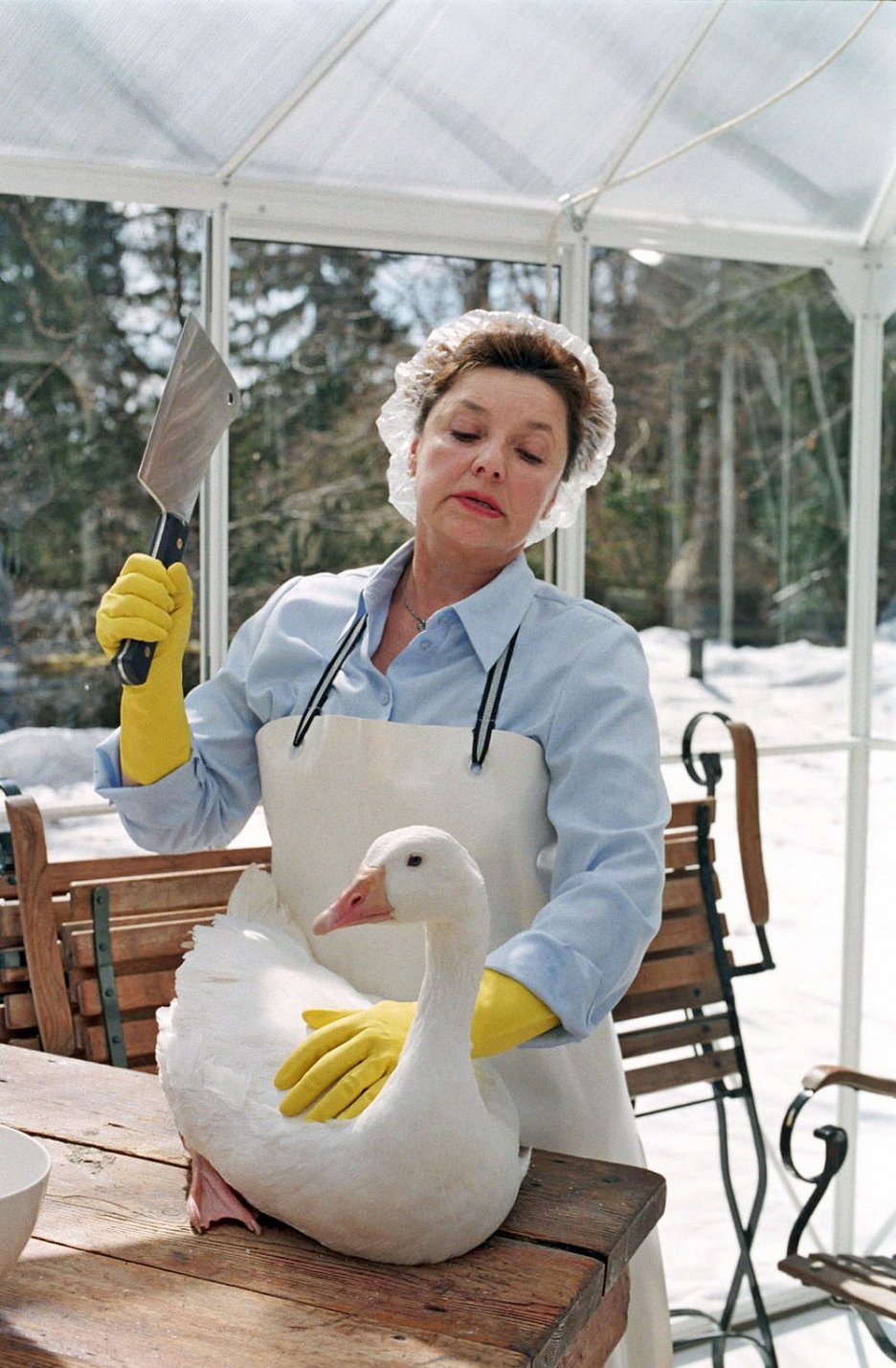 Rettet die Weihnachtsgans (2006) | ČSFD.cz