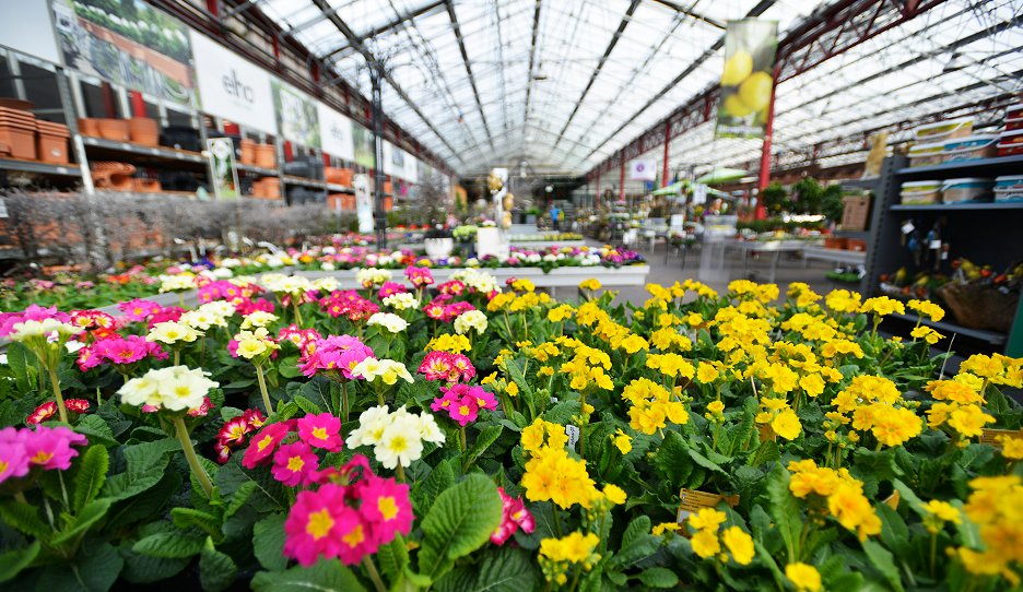 ZDFzeit Obi, Dehner & Co. Der große GartencenterCheck (2019) ČSFD.cz