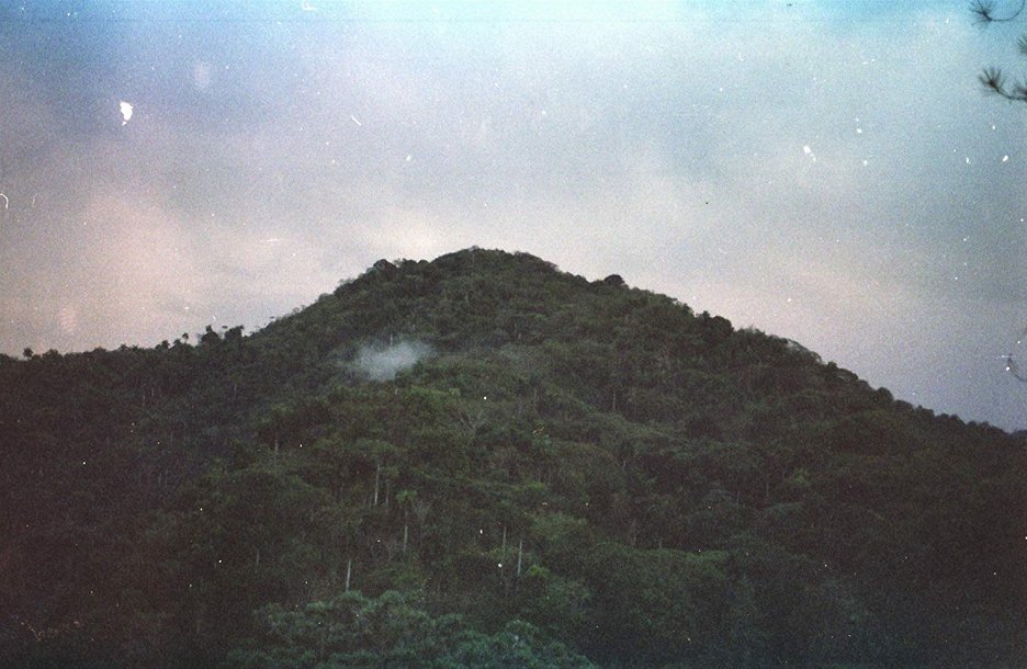 El monte (2017) ČSFD.cz