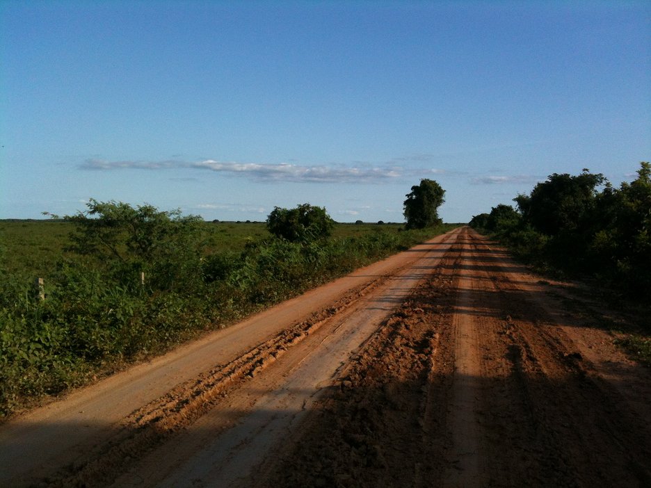 Transpantaneira Brasiliens wilder Highway (2013) ČSFD.cz