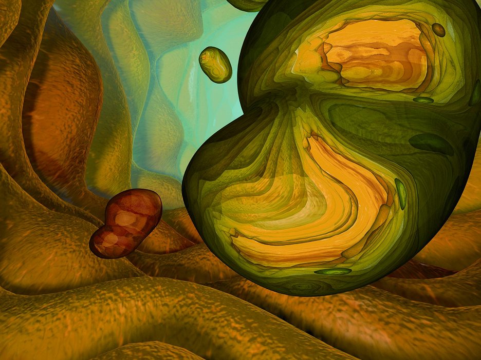 Interspace (2002) | ČSFD.cz