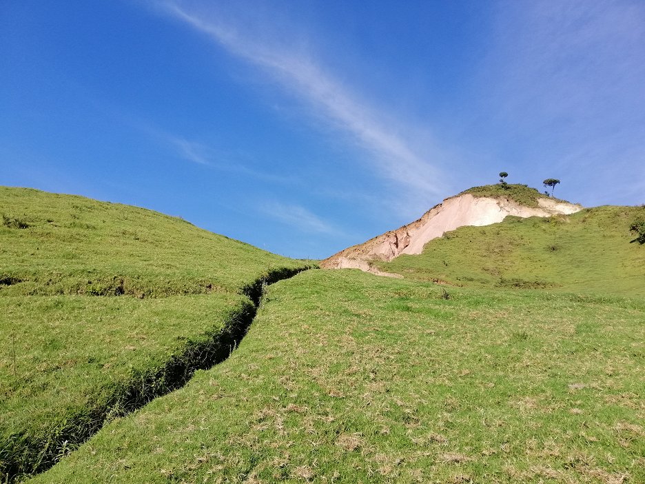 The Diggers (2020) ČSFD.cz
