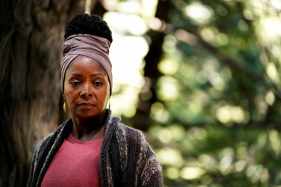 Crystal Fox Galerie Z filmu ČSFD.cz