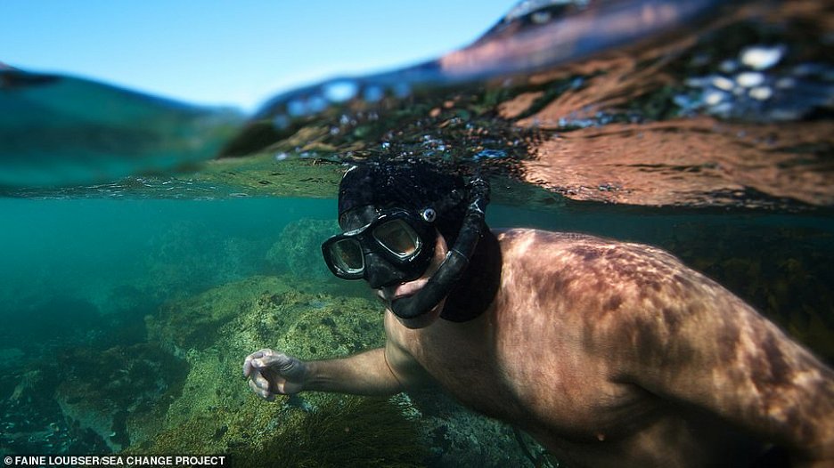 Mein Lehrer, der Krake (2020) | Auszeichnung | FilmBooster.at