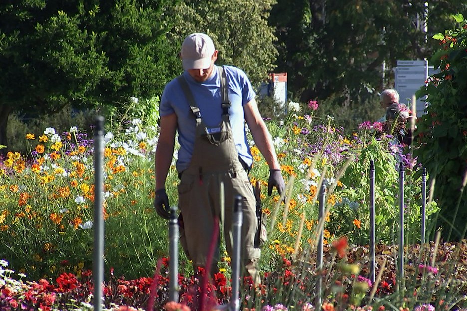 Die Gartenmeister Leben im Park (E02) (2020) ČSFD.cz