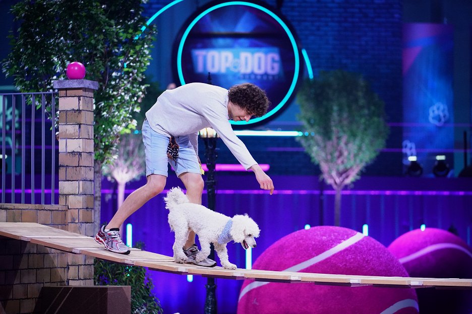 Top Dog Germany - Der Beste Hund Deutschlands Folge 1 Top Dog Germany - Der beste Hund Deutschlands (2021) | ČSFD.cz