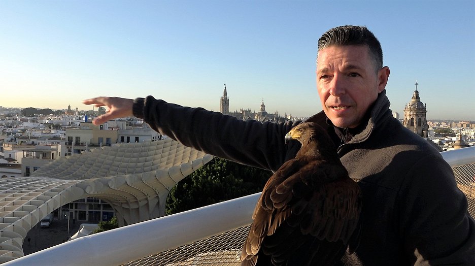 Andalusien - Spaniens mythischer Süden (2020) | ČSFD.cz