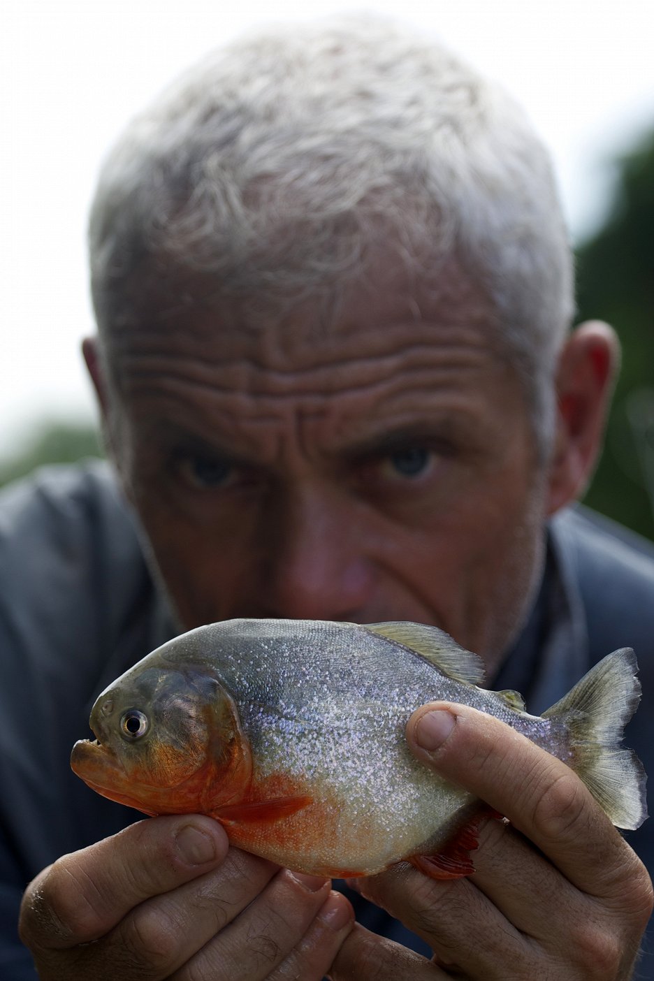 Říční monstra - Face Ripper (S05E01) (2013) | ČSFD.cz