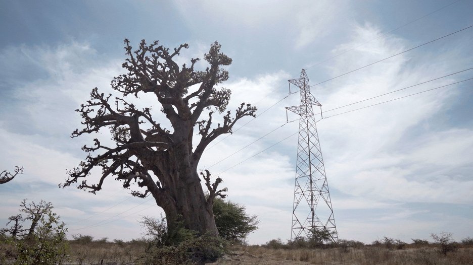 Neccha AI: African Intelligence (2023) | Galerie - Z filmu | ČSFD.cz