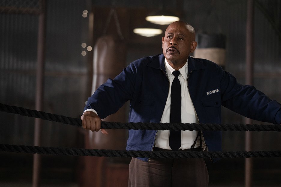 Velký George Foreman (2023) | ČSFD.cz
