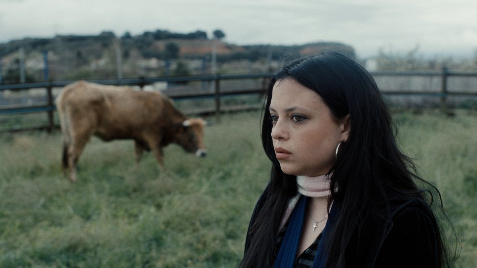 Film Sapi Tú, yo y la vaca (2025) | ČSFD.cz