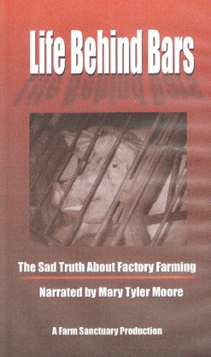 Life Behind Bars (2002) | ČSFD.cz