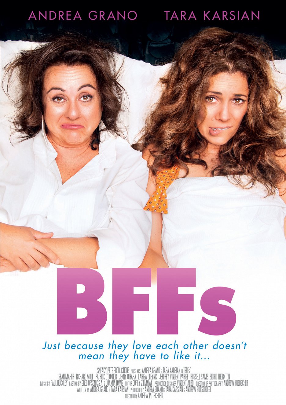 bffs-2014-sfd-cz