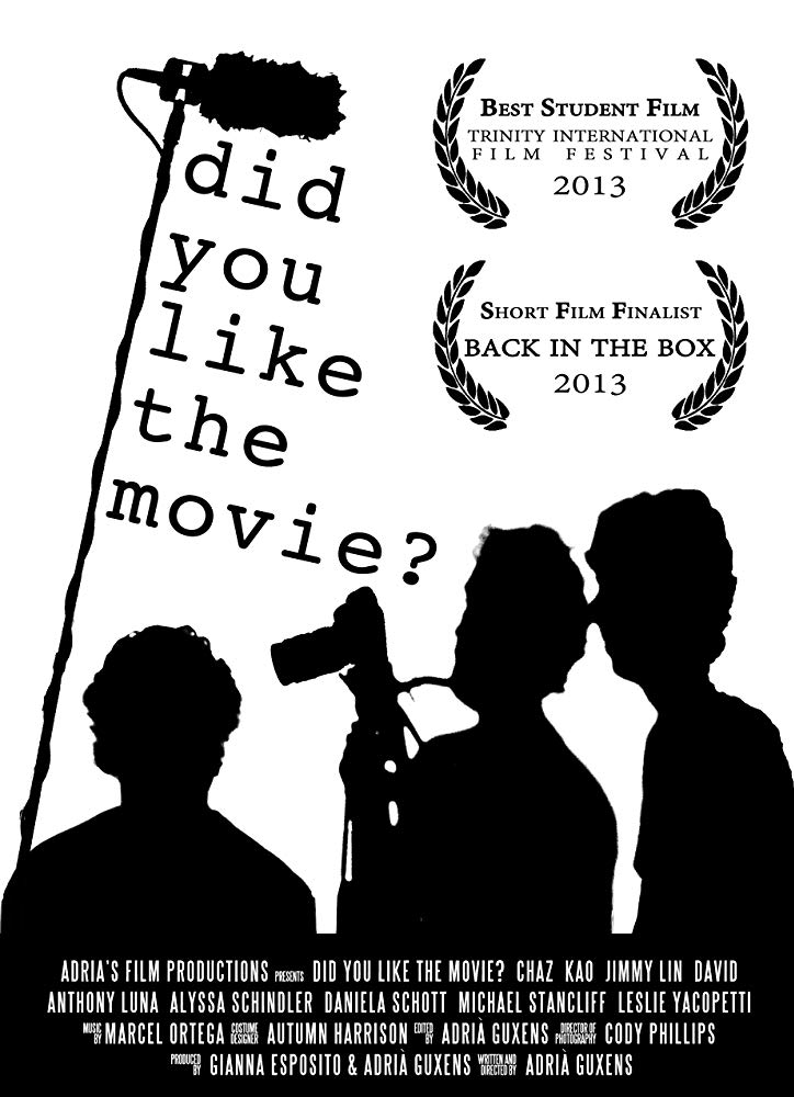 did-you-like-the-movie-2013-sfd-cz