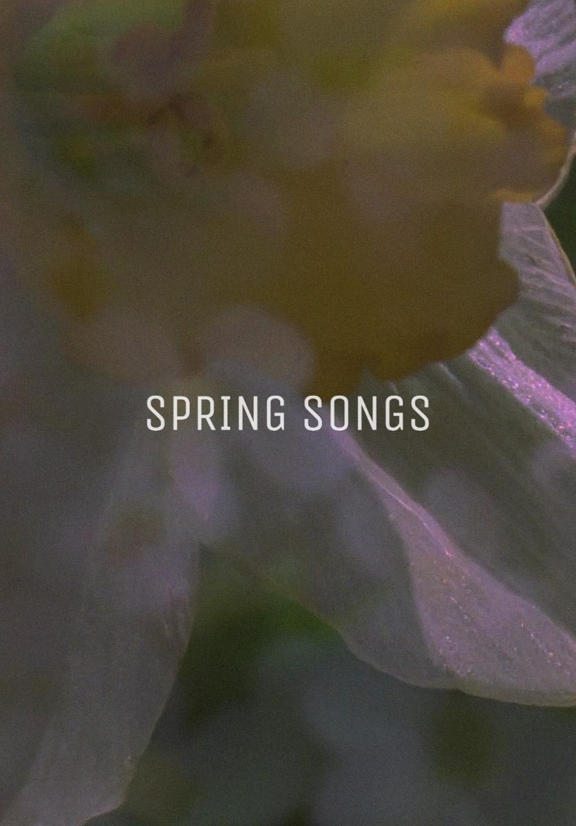 Spring Changes Song Spring Song (2017) | ČSFD.cz