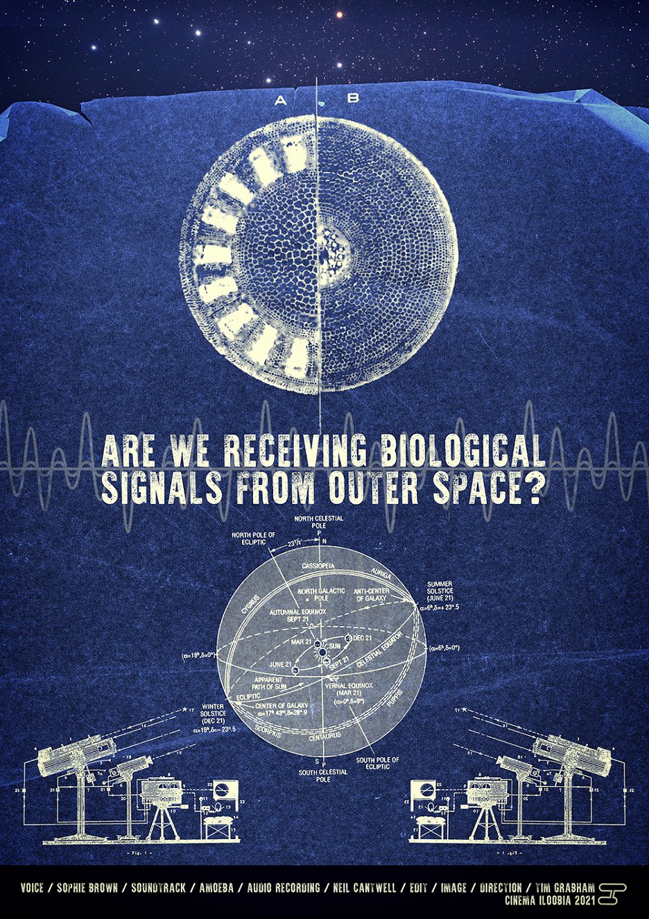 Are we receiving Biological Signals from Outer Space? (2021) ČSFD.cz