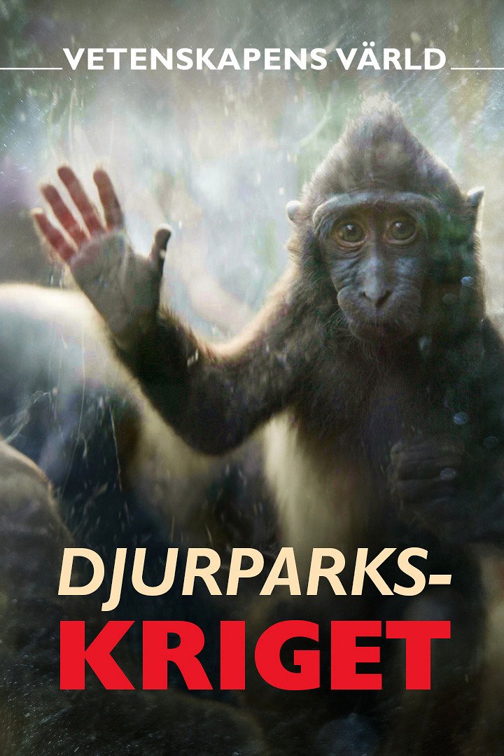 Djurparkskriget 2024 SFD cz djurparkskriget-2024-sfd-cz