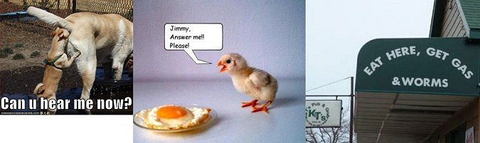3 x Funny Pictures
