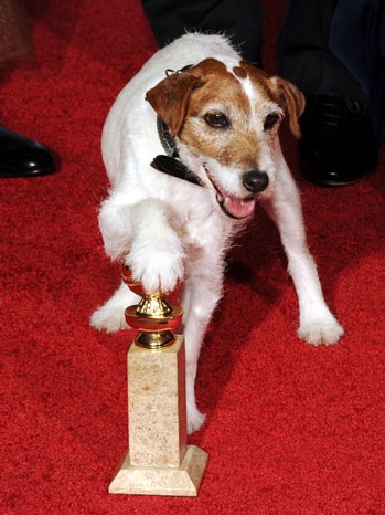 The Artist' Dog Star Uggie Has Been Rehearsing an Oscar Skit With Host Billy Crystal