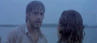 The Notebook - 100%