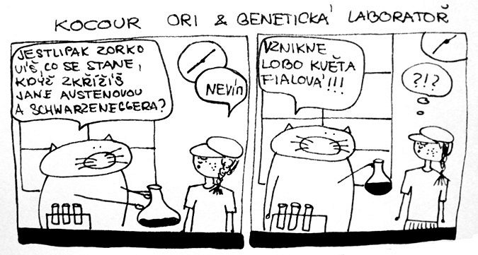 Kocour Ori & genetická laboratoř